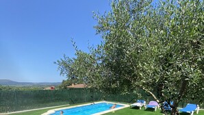 Ein Garten mit Schwimmbecken, Baum und Liegestuhl.