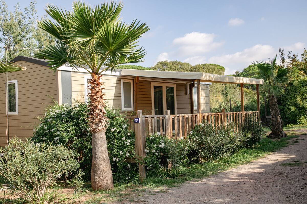 Een stacaravan met een houten terras en een palmboom ervoor.