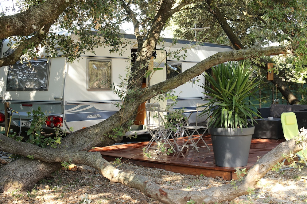 Caravan under the trees