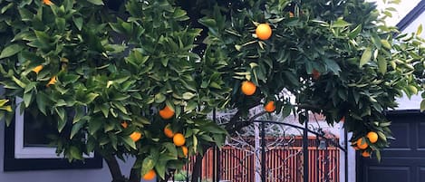 外观细节
