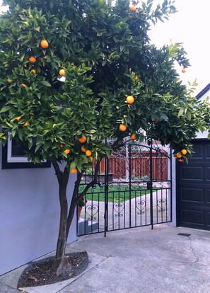 Exterior detail - Storybook Cottage in the heart of wine country (Santa Rosa)
