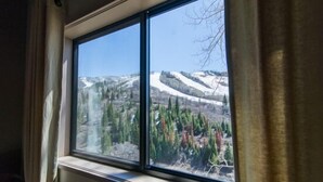 A window with a view of a snowy mountain landscape and coniferous trees. - CB311 | Epic Views | Outdoor Pool and Hot Tub | Ski In/Out (Steamboat Springs)