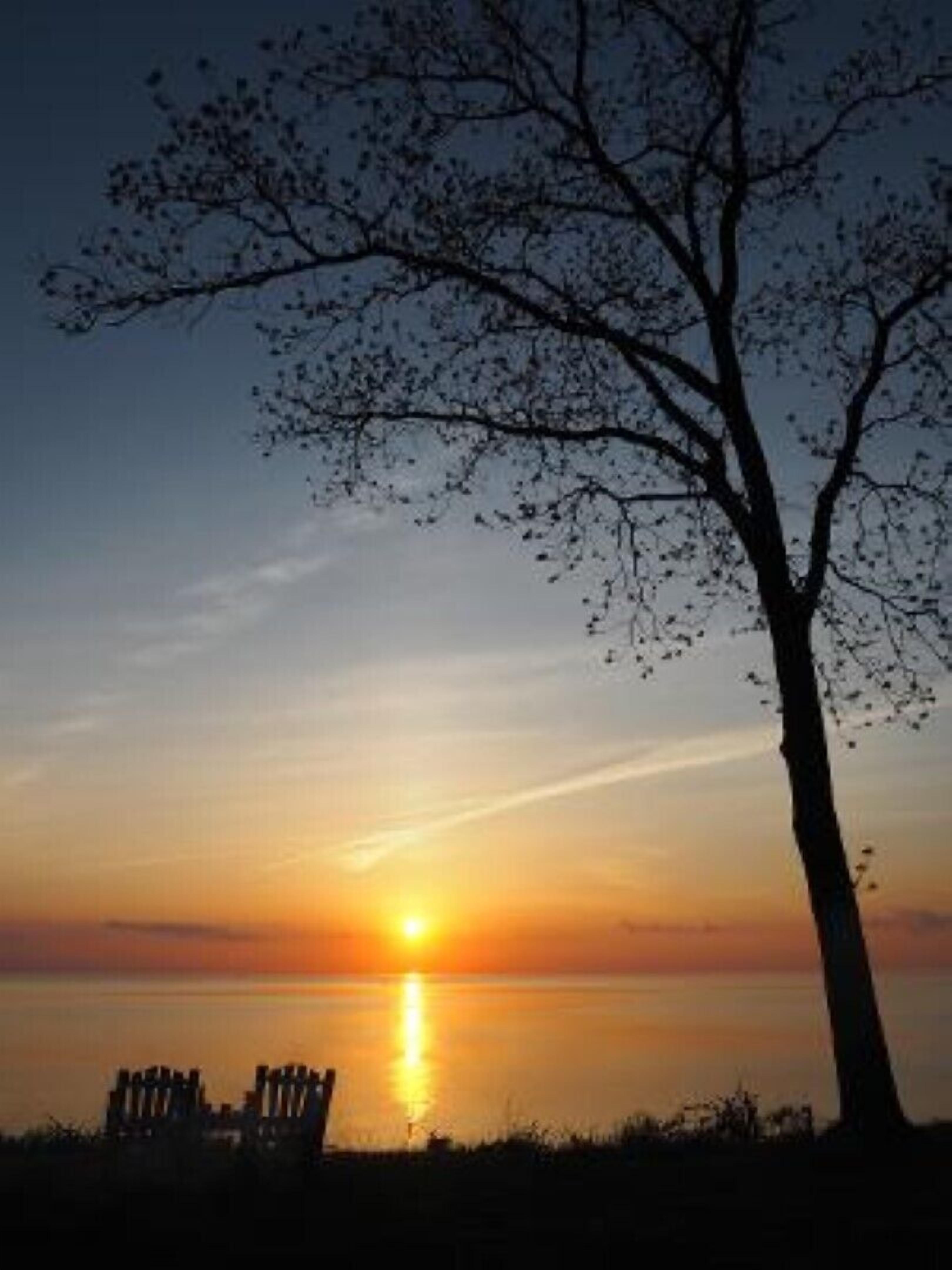 Un coucher de soleil sur une étendue d’eau calme, avec un arbre et un banc au premier plan.