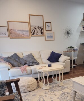 Smart TV, fireplace, DVD player, books