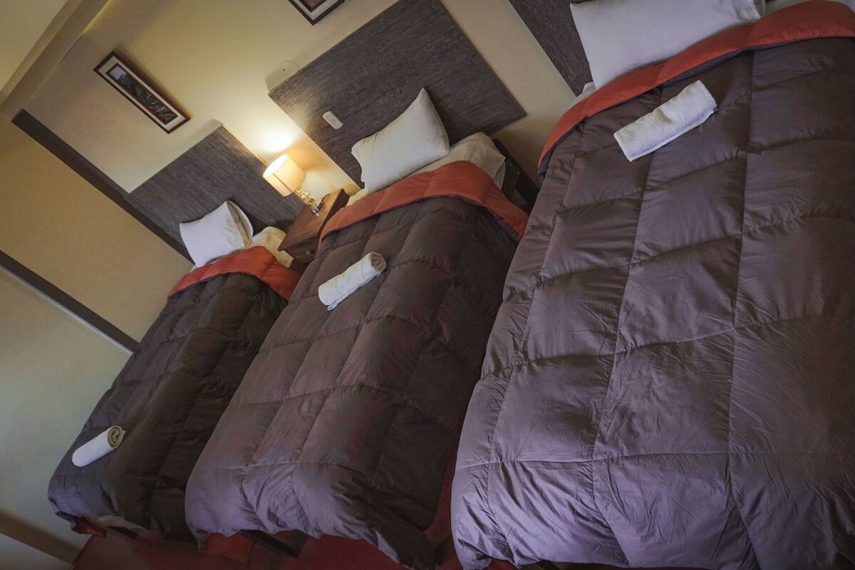 Traditional Room | Laptop workspace, soundproofing, iron/ironing board, free WiFi