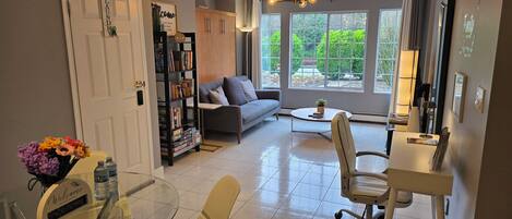 Smart TV, video games, DVD player, books