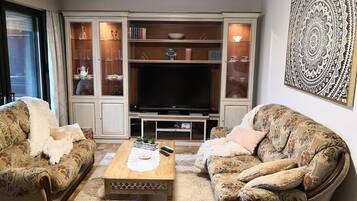 Televisión, chimenea, videojuegos y reproductor de DVD