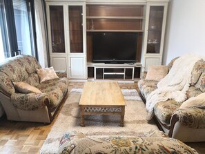 TV, fireplace, video games, DVD player - House Victoria, private entrance, FREE PARKING ,WiFi, near Pohorje ski & bike (Maribor)