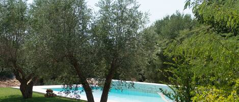 Una piscina al aire libre