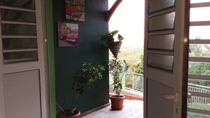 Un corridoio con una parete verde, piante in vaso e un pavimento in legno che conduce a un'area esterna.