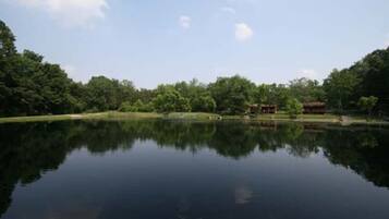 A calm lake with a reflection of trees and a building in the distance.