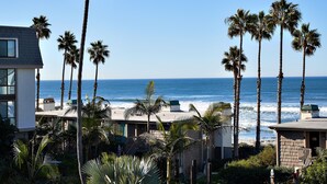 A beachfront property with multiple palm trees, a view of the ocean, and a modern building with large windows.