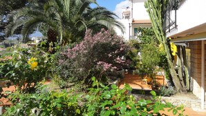 Ein Garten mit verschiedenen Pflanzen, darunter Kakteen und blühenden Sträuchern, vor einem weißen Gebäude mit einem Ziegeldach.