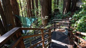 Una escalera de madera con barandillas que asciende hacia una zona boscosa.