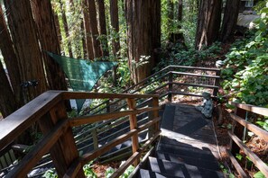 Property grounds - Artist’s Perch: Modern Redwood Retreat with Outdoor Sauna (Guerneville)