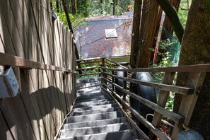 Terrain de l’hébergement 