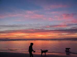 在海滩、沙滩椅、沙滩毛巾