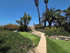 A landscaped garden with a stone pathway, palm trees, and various shrubs.