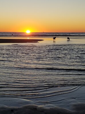On the beach, sun loungers, beach towels