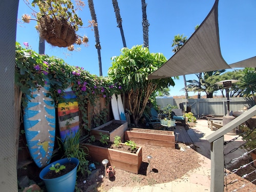 Tutustu Wanderlust-keidasomme! Koirat tervetulleita! Vaiheet kuuluisalle koiranrannalle!