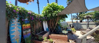 Explore our slice of paradise! Dogs welcomed! Steps to Famous Dog Beach!