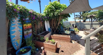 Tutustu Wanderlust-keidasomme! Koirat tervetulleita! Vaiheet kuuluisalle koiranrannalle!