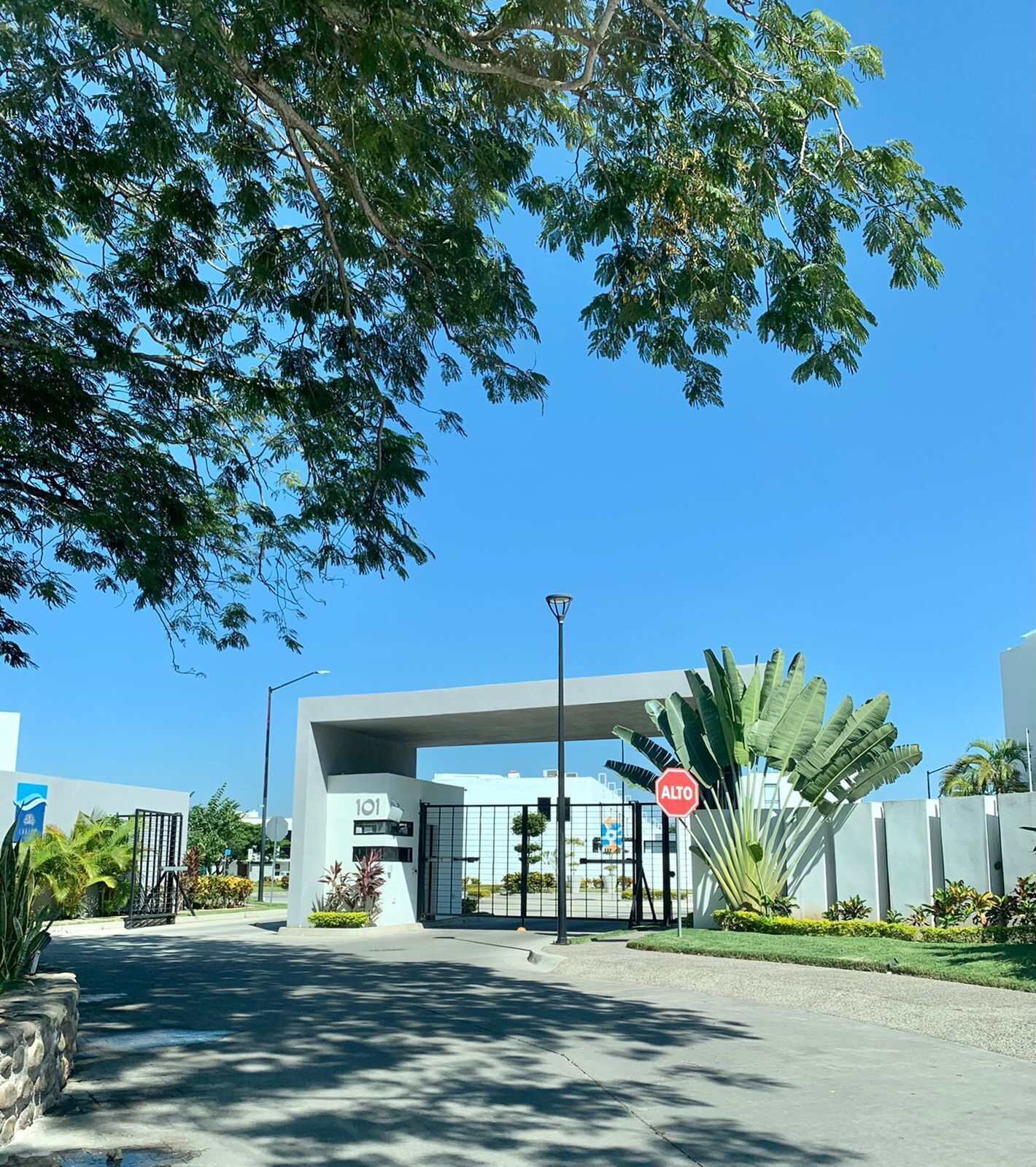 Condo  Blanca!!!!!!!