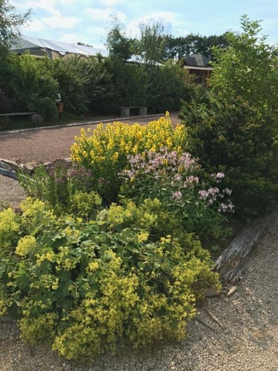 Terrein van de accommodatie