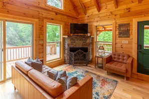 TV, fireplace, DVD player, toys