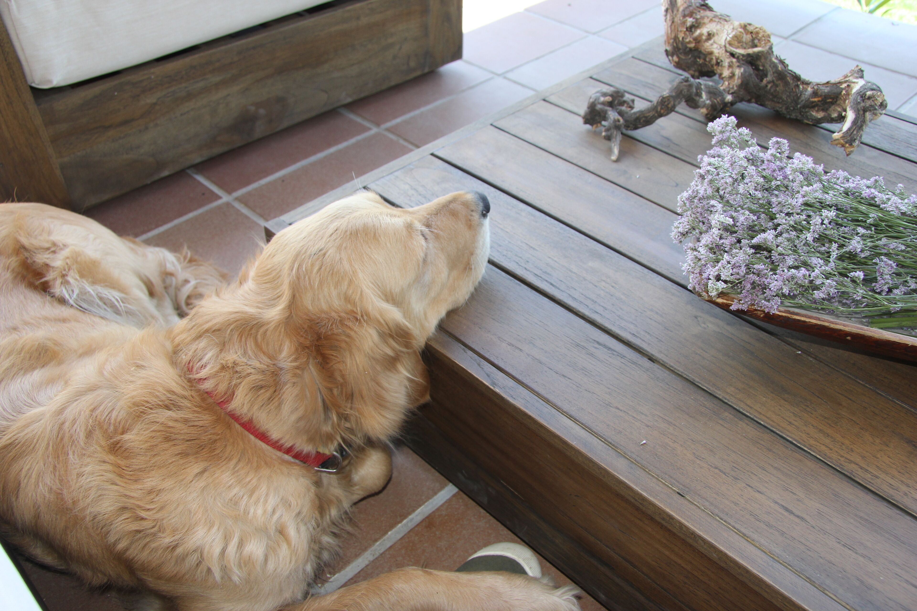 Charming cottage to enjoy with your Nature's