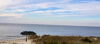 Pet friendly cottage by the Delaware Bay-Townbank 