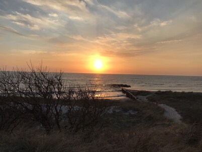 Pet friendly cottage by the Delaware Bay-Townbank