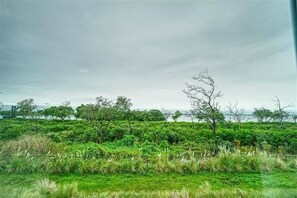 Unclassified image, 3 of 18, button