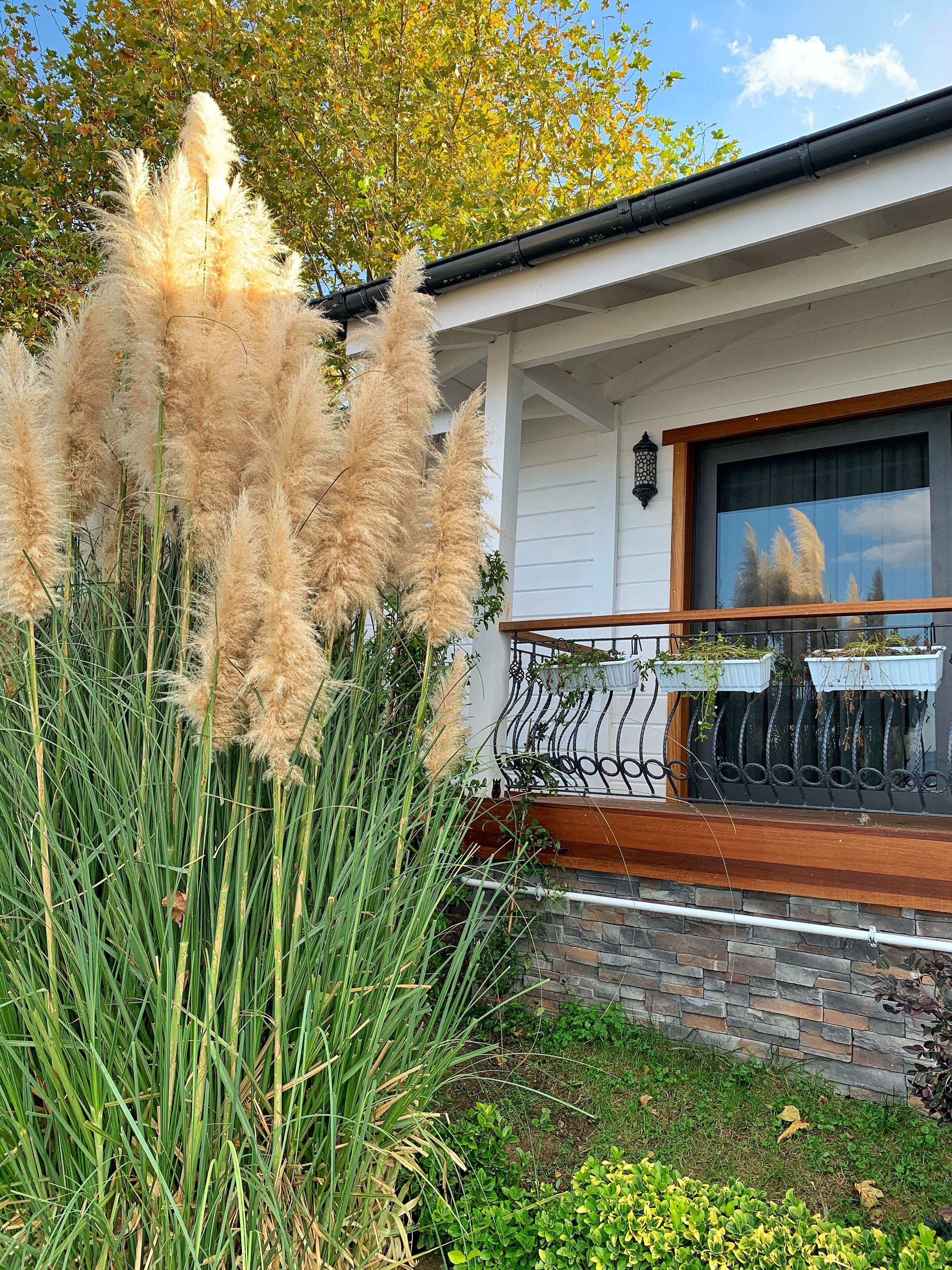 deluxe room, lake view | lake view