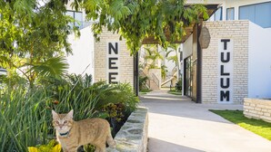 A pathway leading to a building with the letters "NEE" and "TULUM" on the walls, surrounded by greenery. - Neem Tulum (Tulum)