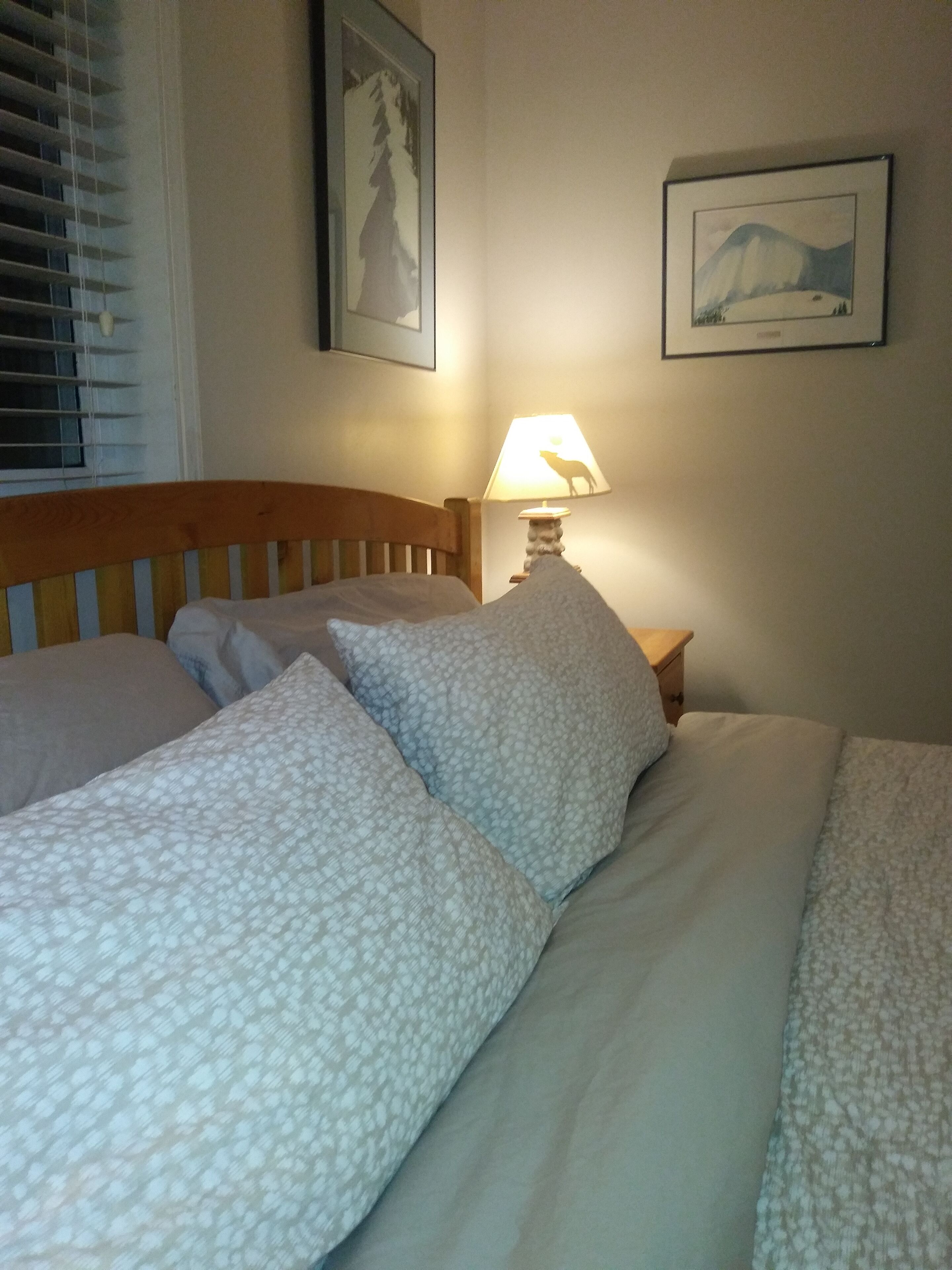 On Hill, Luxury King Bed, Daylodge Ski Locker! 2 baths, hot tubs,     