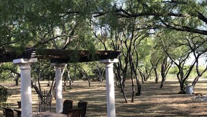 Un espace extérieur abrité, avec une table et des chaises, entouré d’arbres.