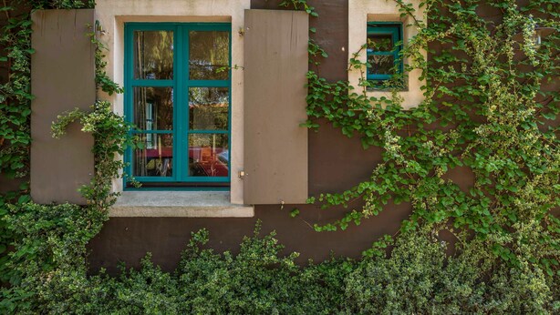 Un edificio con ventana y puerta, parcialmente cubierto de hiedra.