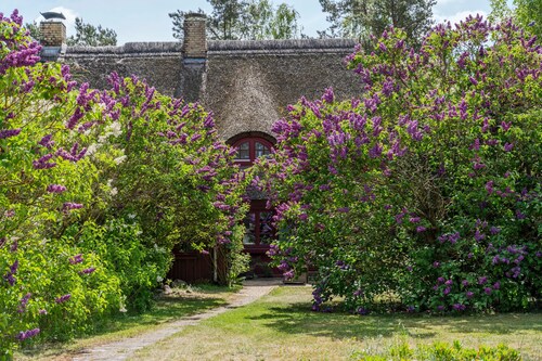 Pommernhaus Urgemütlicher Roter Schwede Sauna Boot - Sauna, Kamin, großer Garten