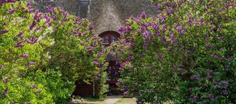 Pommernhaus Urgemütlicher Roter Schwede Sauna Boot - Sauna, fireplace, large garden