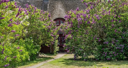 Pommernhaus Urgemütlicher Roter Schwede Sauna Boot - Sauna, Kamin, großer Garten