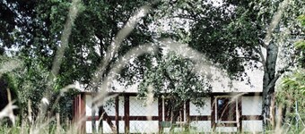 Røde svenske, Tyskland