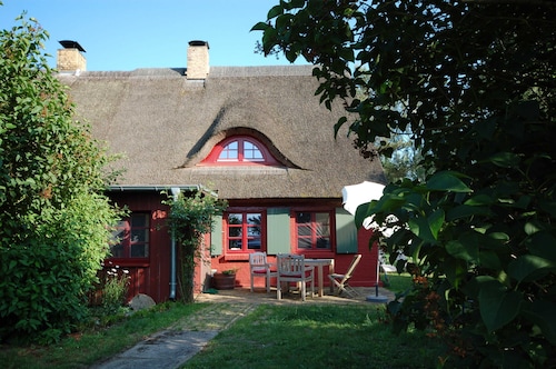 Punainen ruotsalainen, Saksa