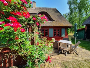 Imagem sem classificação, 5 de 38, botão