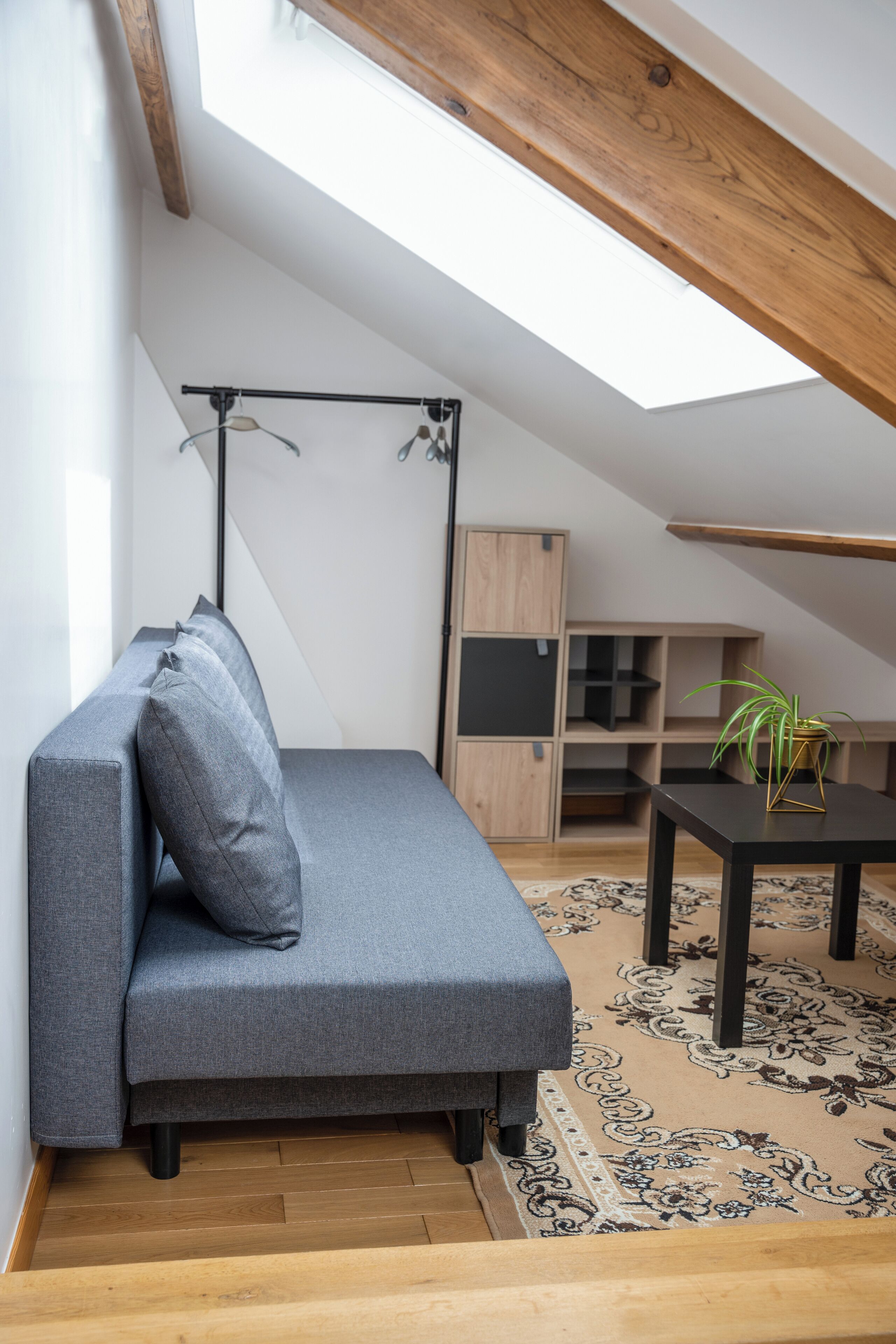 Une pièce de style loft avec un canapé gris, une petite table agrémentée d’une plante et un plafond en bois.