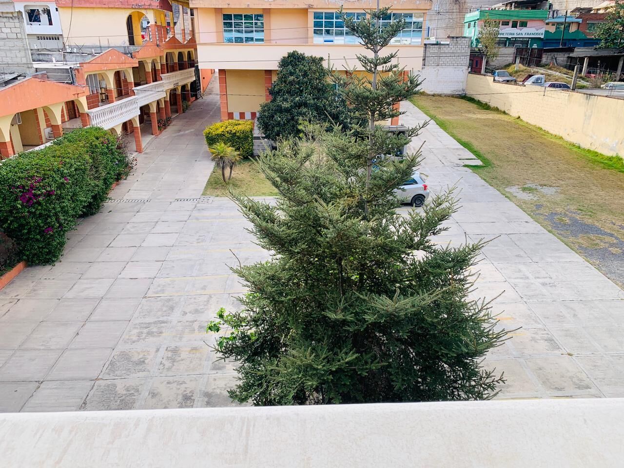 Um pátio com uma grande árvore perene, uma galeria coberta e edifícios ao fundo.