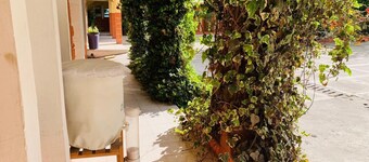 Hotel Real Classic Inn