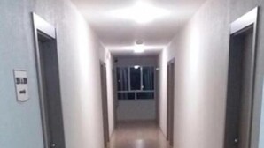 A hallway with a sofa and a potted plant, leading to a door at the end.
