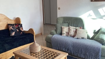 TV, DVD player, books, video library