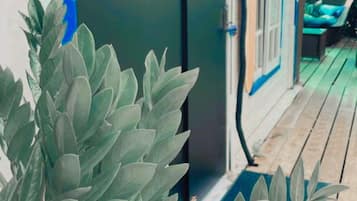 Minibar, blackout drapes, bed sheets